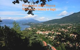 Natura Tra Bosco E Lago