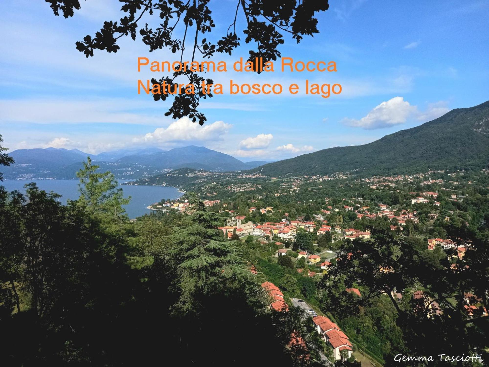Natura Tra Bosco E Lago Castelveccana Exterior photo